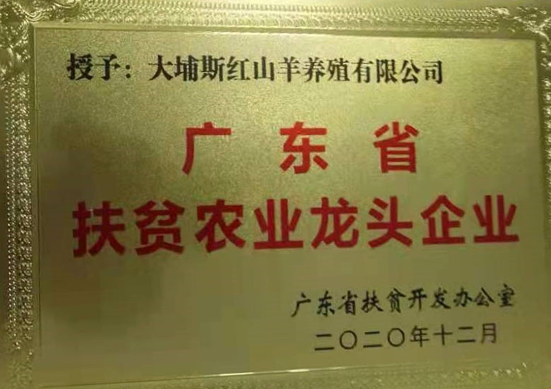 廣東省扶貧農(nóng)業(yè)龍頭企業(yè)